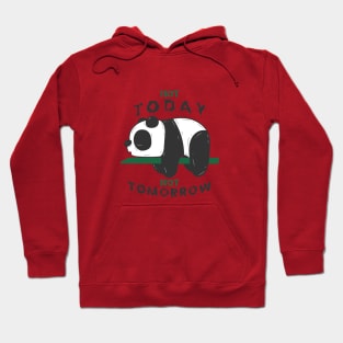 The Lazy Panda Hoodie